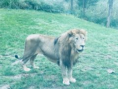 -北京野生动物园