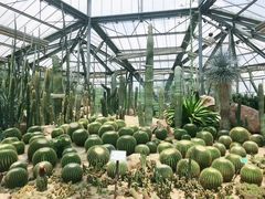 -华南国家植物园-售票处