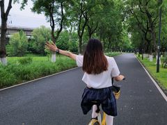 -东湖落雁景区