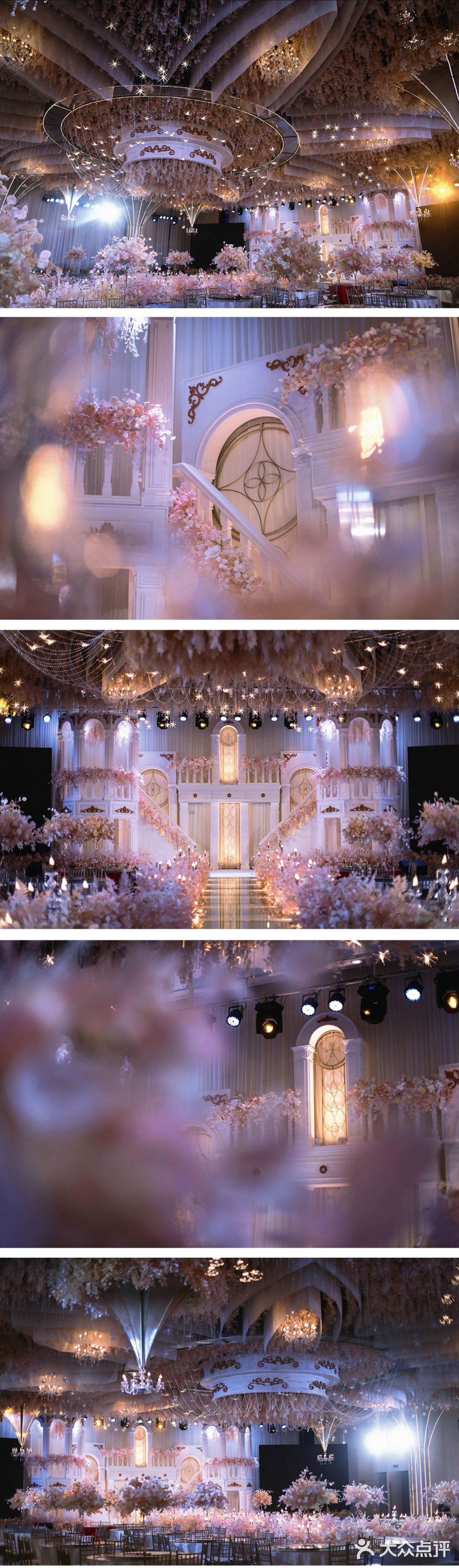 好多花花太美啦