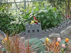 -南宫五洲植物乐园