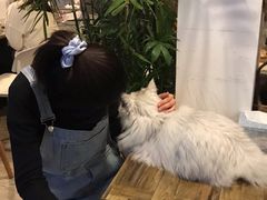 -小时光咖啡馆(北锣鼓巷店)