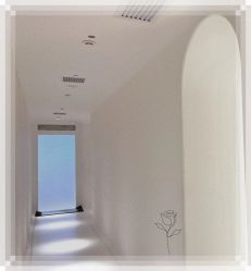 -紫御国际抗衰ZOE ANTI AGING