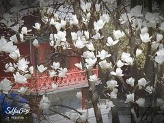 -西安曲江寒窑遗址公园