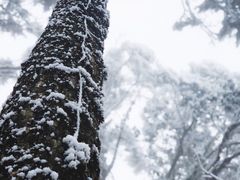 -龙苍沟森林公园