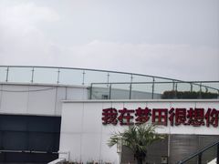 -野狸岛