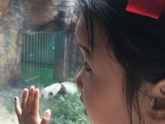 -辛玛王国游乐园