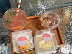 -柴犬高等学院·狗咖·柴犬售卖·宠物训练