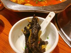 -老号尤兔头(幸福店)