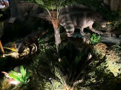 -陕西自然博物馆