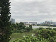 -立新湖公园