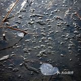 冰封西湖‼️五十年罕见景观‼️高清图美炸‼️附攻略
