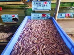 -琼菜王(南海店)
