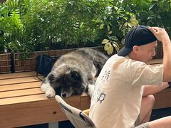 -SAANCI山池咖啡(海上世界文化艺术中心店)