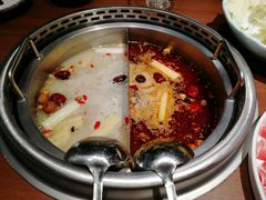 -快乐小羊·内蒙牛羊肉火锅(流花中心店)