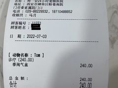 -特一安24小时宠物医院·骨科·中兽医
