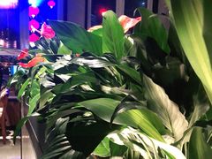 -管氏翅吧(台湾街店)