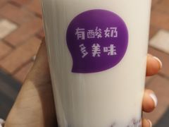 -一只酸奶牛(八一路店)