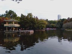 -晓港公园