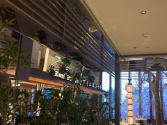 -桂满陇·海市蜃楼·黑金(国金店)