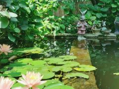 -谷咖啡·鲜花绿植花园餐厅