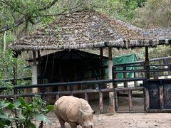 -深圳野生动物园