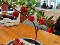 -粉巷13號陕菜馆