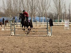 -北京群众马术培训基地