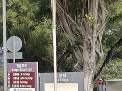-大埔公路-马料水段香港中文大学(公交站)