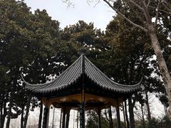 -梅园