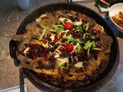 -老板恋上鱼(恒隆广场店)