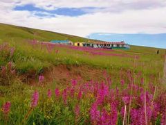 -青海湖国家重点风景名胜区