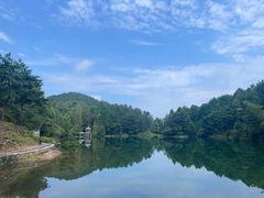 -四明山国家森林公园