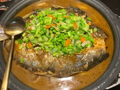 -探鱼·鲜青椒爽麻烤鱼(北京路天河城店)