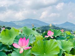 -古田会议纪念馆