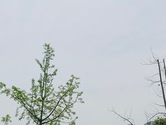 -府河摄影公园