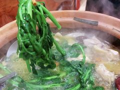 -威邵鸡煲(西华路总店)
