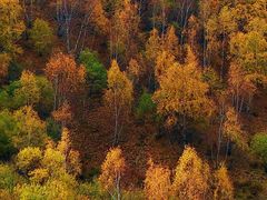 -塞罕坝国家级自然保护区