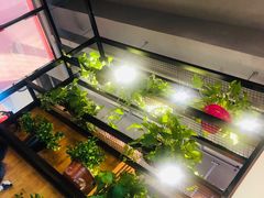 -苗小坛酸汤鱼(酒仙桥店)