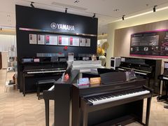 -雅歌音乐培训中心·钢琴培训·乐器培训(交道口店)