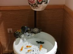 -吉之仙•中国制造•出口级食材日料店(领事馆总店)
