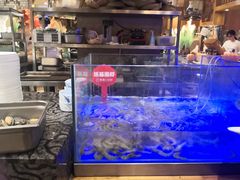 -芭菲盛宴·环球美食(锦城万达广场店)