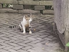 -上海佘山国家森林公园西佘山园