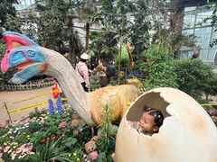 -沈阳植物园