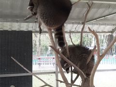 -广东花都香草世界旅游度假区