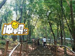 -帽儿山风景区