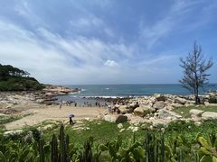 -广东惠东海龟国家级自然保护区