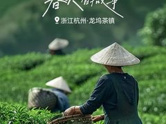 -华祥苑茶馆•国缤茶小蓝罐(普罗旺斯店)