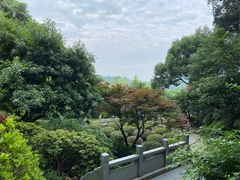 -十八棵（老龙井）御茶园(老龙井店)
