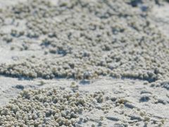 -北海金海湾红树林生态旅游区